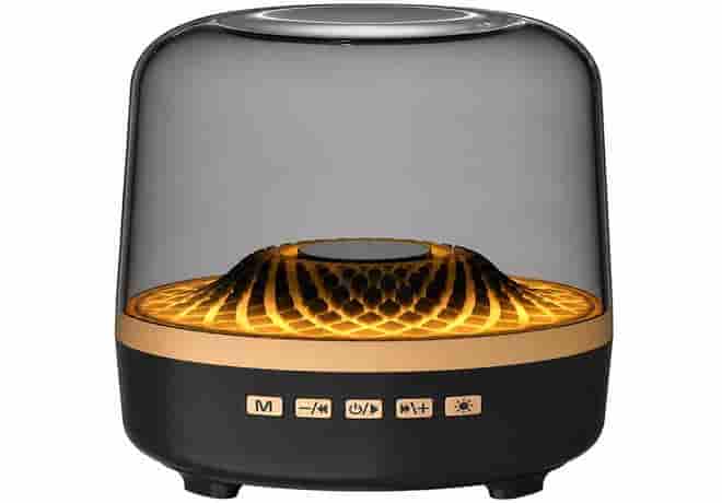 اسپیکر قابل حمل مدل LX2500